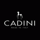 Italys menswear brand Cadini opens franchise stores in Pune