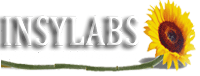 INSYLABS