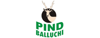 PIND BALLUCHI , PARK BALLUCHI