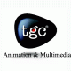 TGC (Animation & Multimedia) Seeking Franchise Partner with Franchise Mart India