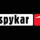 Spykar to expand denim franchise in India