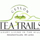 Tea Trails targets 250 franchise stores by 2018