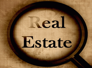 Real Estate india