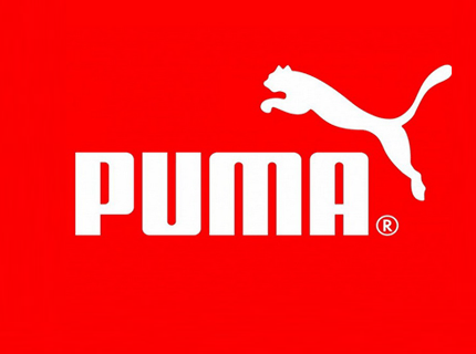 puma sports india