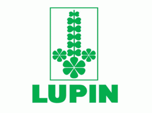 Lupin